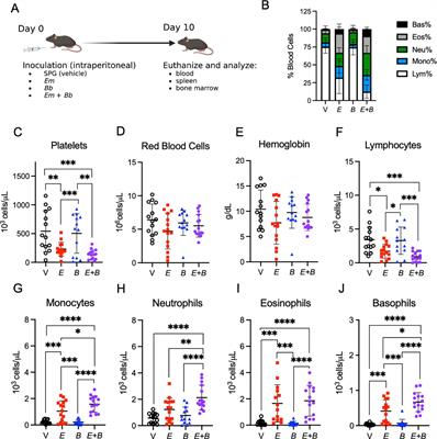 Impact of E. muris infection on B. burgdorferi–induced joint pathology in mice
